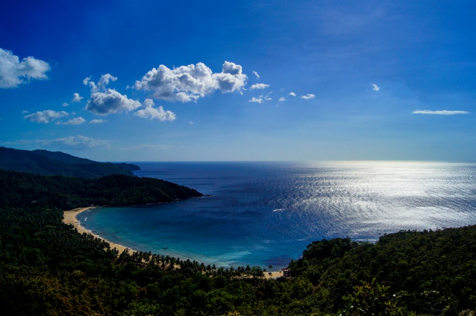 body of water and green forest