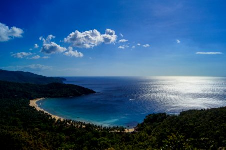 body of water and green forest photo