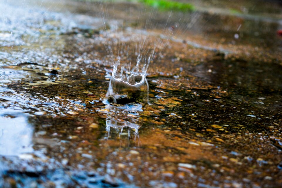 Splash nature weather
