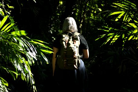 Australia, Dorrigo national park, Dorrigo