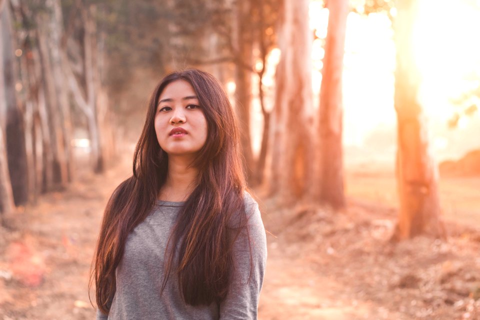 India, Dehradun, Goldenhour