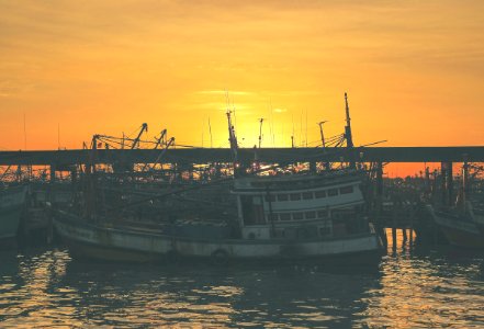 Bangkok, Thail, Port photo