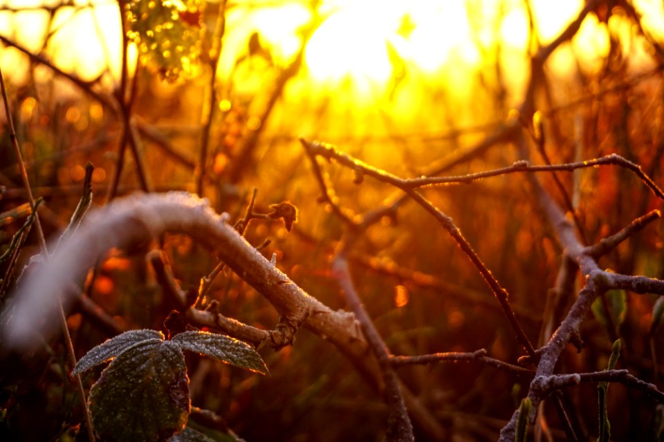 Lurgashall, United kingdom, Winter