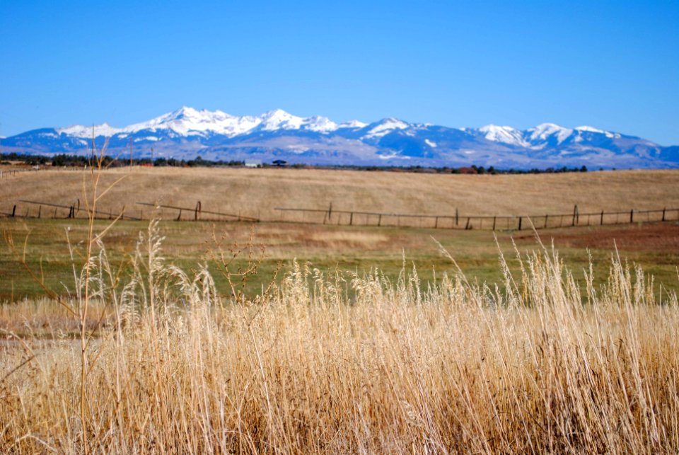 Mancos, United states, Fall