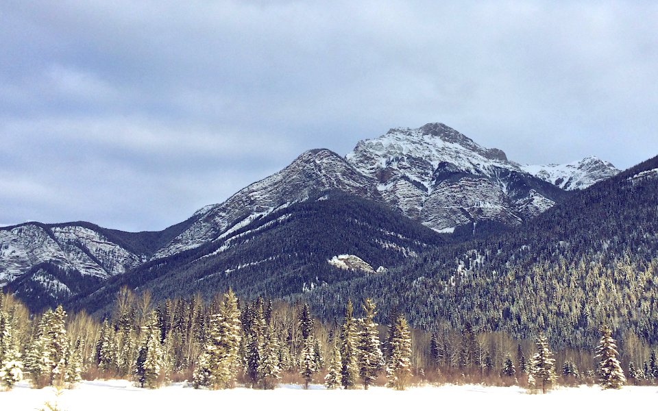 Canada, 1694 moberly school rd, Columbiashuswap a