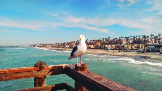 Oceanside, California, Ocean photo