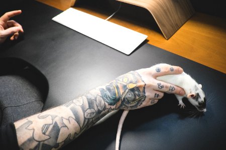 Mouse, Keyboard, Tattoo