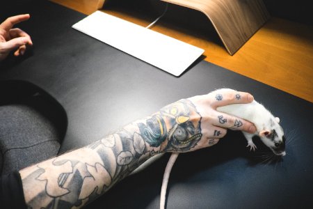 Mouse, Keyboard, Tattoo photo