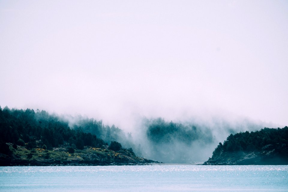 body of water covered with fog
