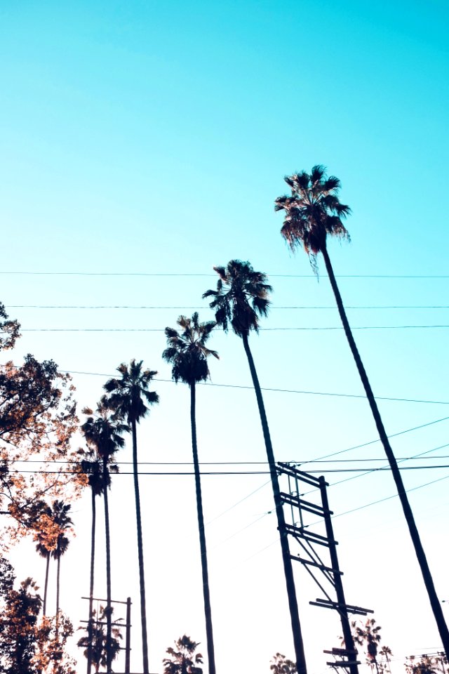 Los angeles, United states, Traveling