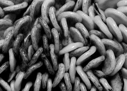 Pepper, Macro