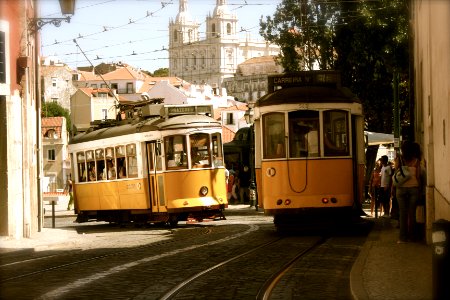 two yellow-and-white trams photo