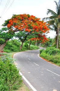 Hampi, India, Road