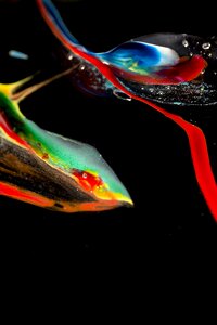 Paint gel art