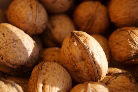 Walnut nut shell