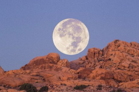 Joshua tree, United states, Hike
