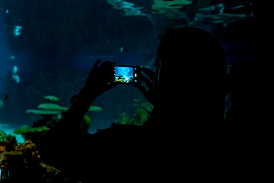 National aquarium, Baltimore, United states