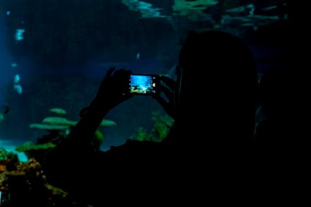 National aquarium, Baltimore, United states photo