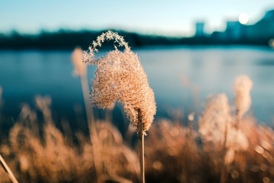 Friends of georgetown waterfront park, Washington, United states