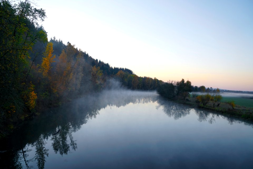 Ridgefield, United states, Fog