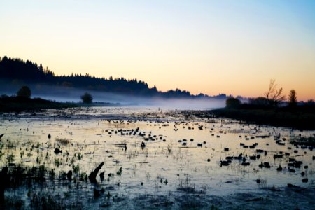 Ridgefield, Ridgefield national wildlife refuge, United states photo