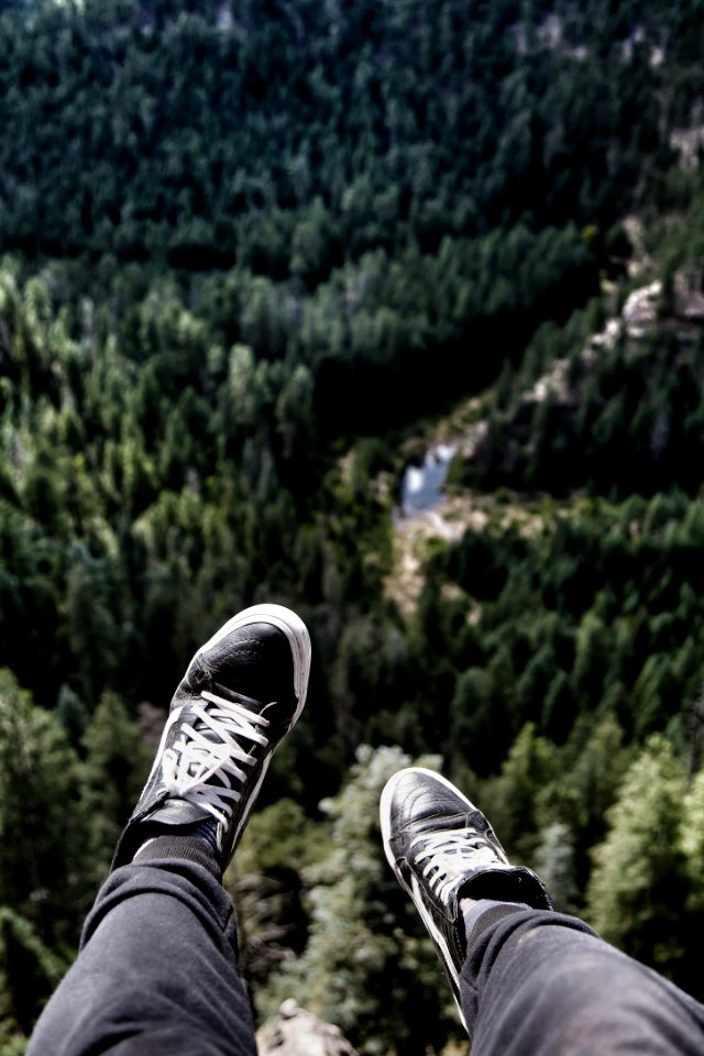 Payson, United states, Trees lakes forrest vans offthewall