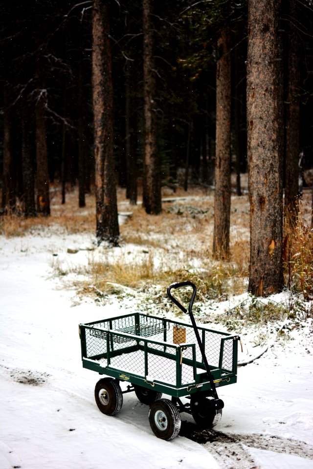 green and black metal pull wagon on white snow