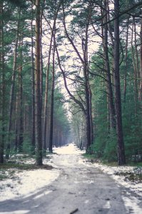 Sadness, Lonely, Road photo