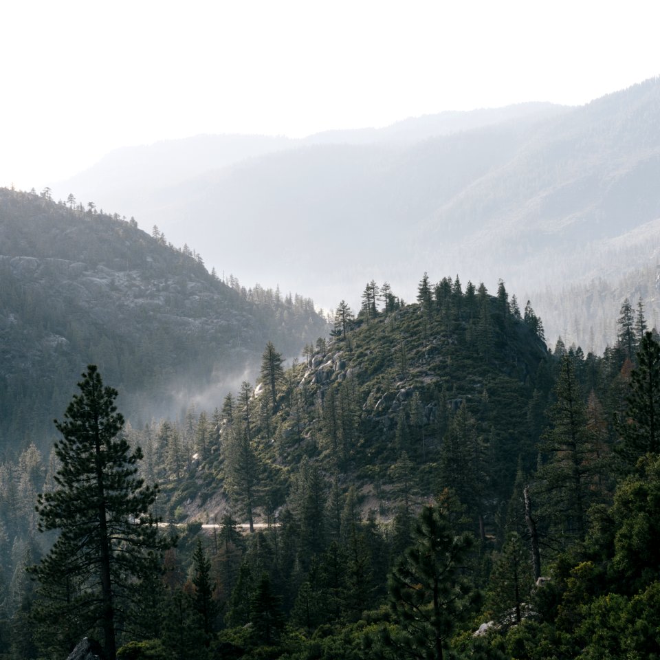 Scape, Outdoors, Nature