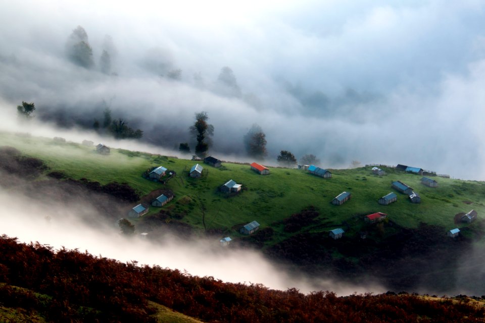 houses surrounded by fog