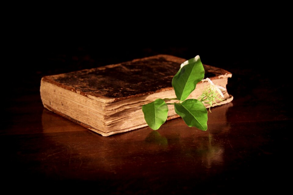 Alchemy portion remedy