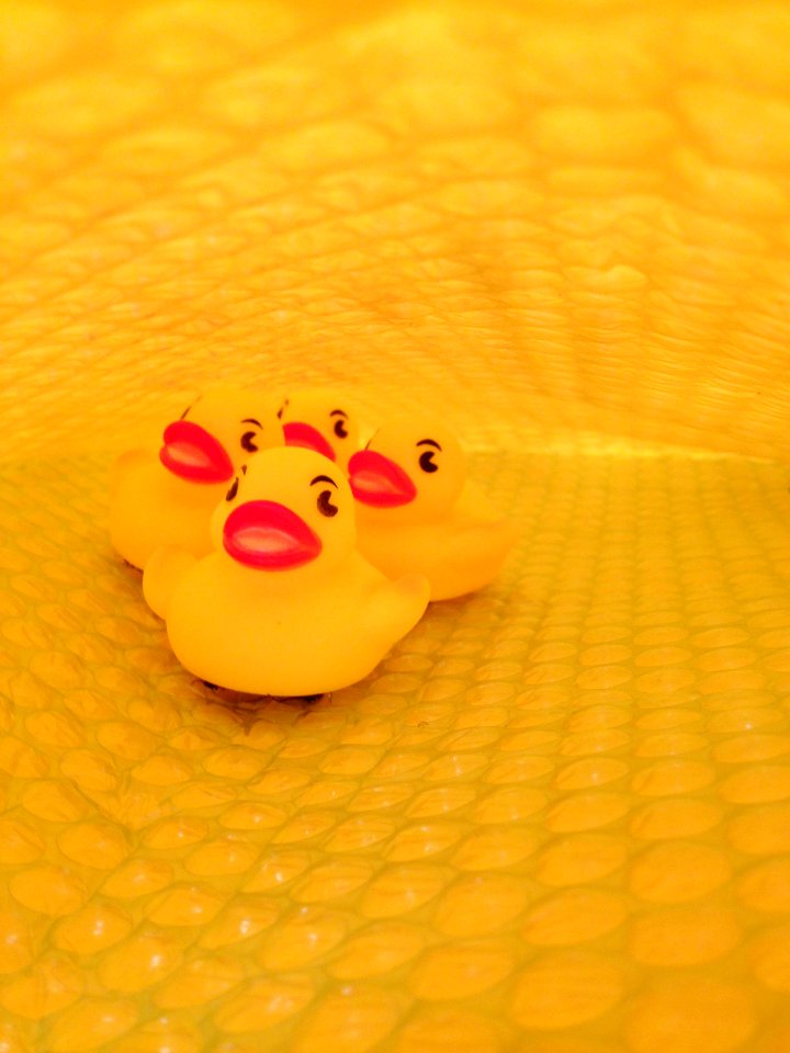 Package, Mail, Ducks