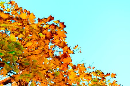 Boston, United states, Minimal