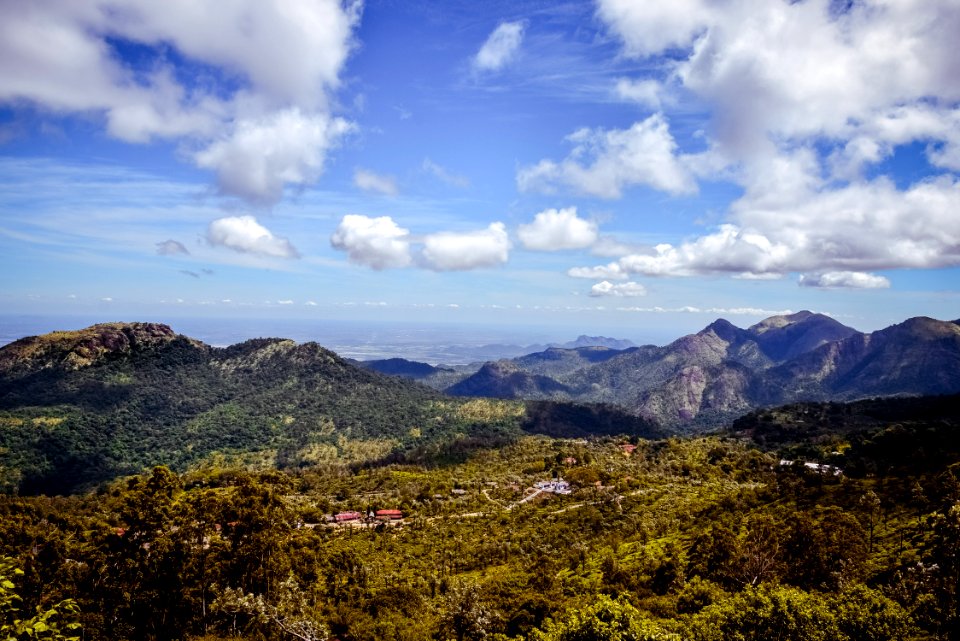 green trees with mountains during daytime photography