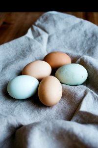 five broil eggs photo