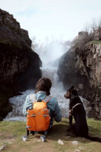Dog, Silver falls state park, Sublimity