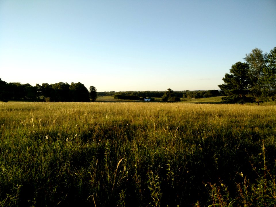 Tacuarembo, Uruguay, Day
