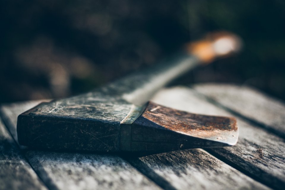 Tool, Forest, Hatchet photo