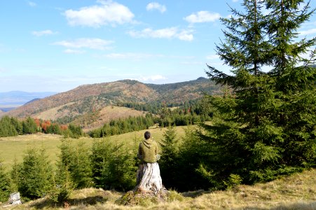 man sitting alone on tree stump facing green trees and mountain under clear blue cloudy sky photo