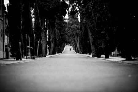 gray concrete road