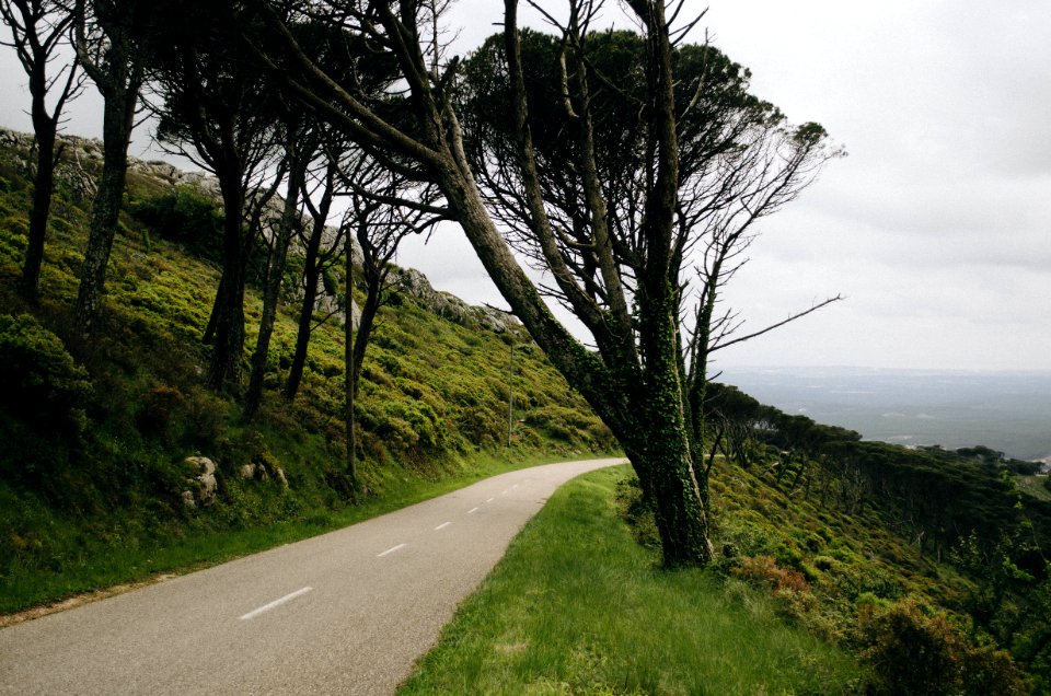 Portugal, Serra de montejunto, Scape
