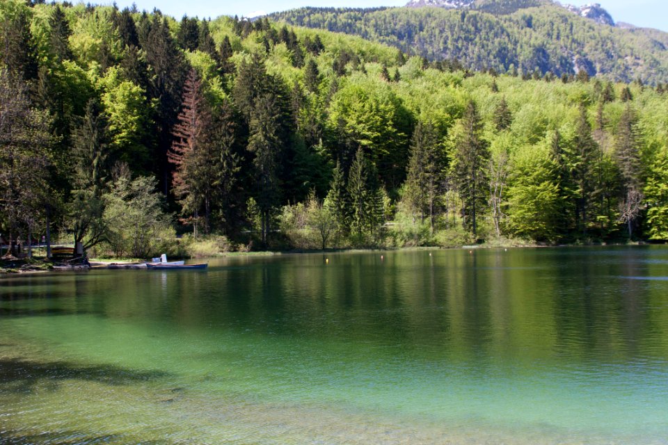 Lake bohinj, Bohinjsko jezero, Slovenia
