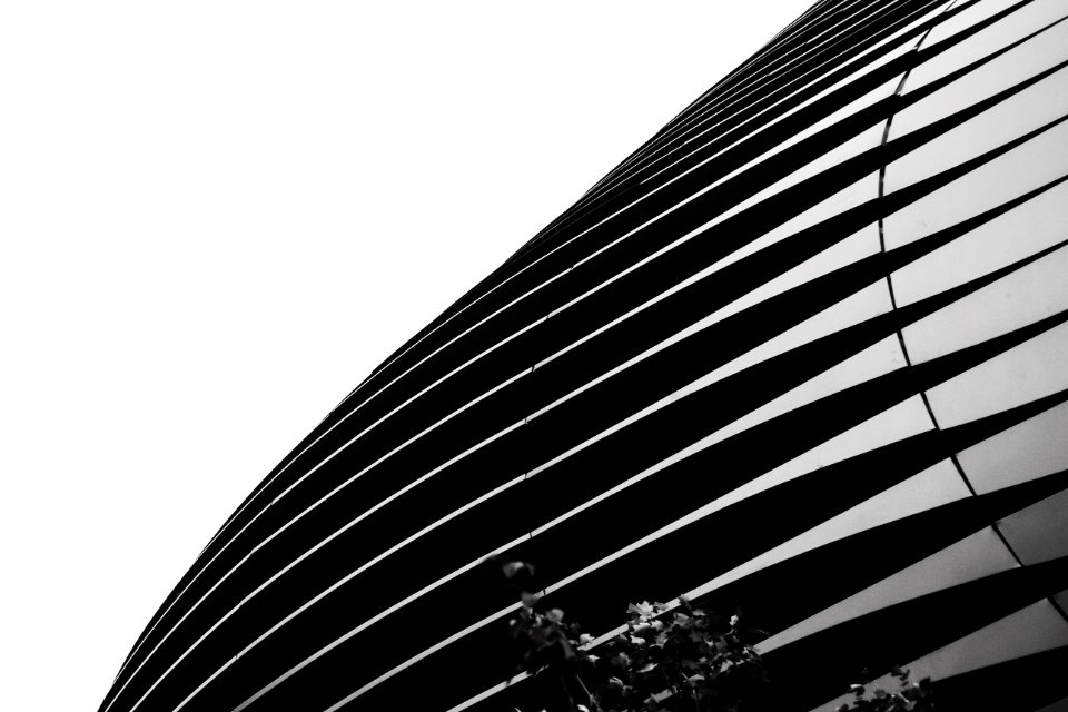 White, Black, Minimal