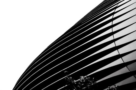White, Black, Minimal