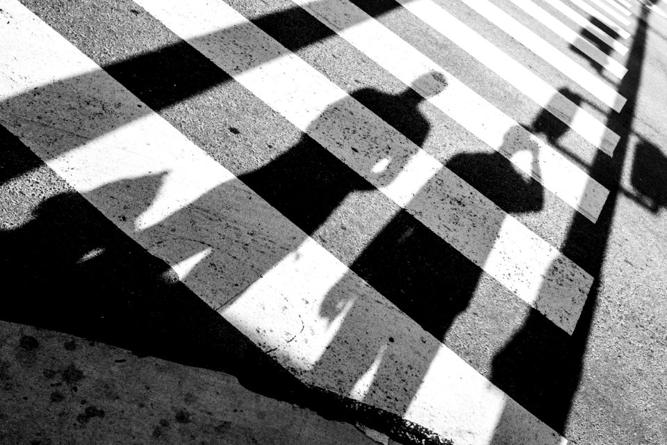 Lines, Crosswalk, City