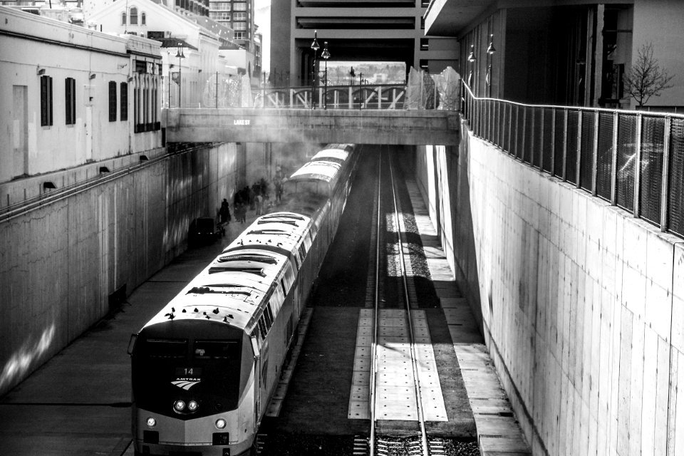 Black, White, Street