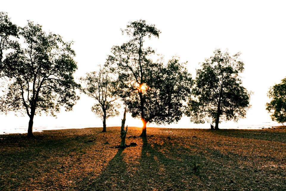 Thail, Ko lanta district, Sun