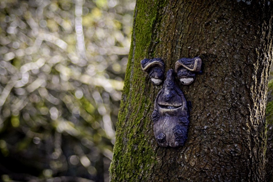 Oxford isl, Nature reserve, Craigavon