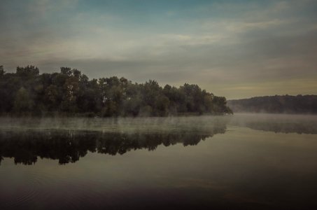 grayscale photo of trees near body water photo