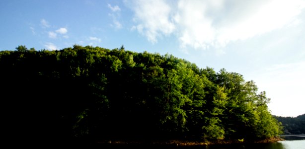 Tarnia, Clujnapoca, Romania